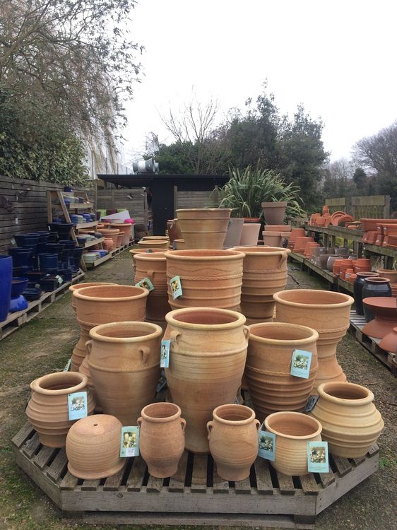 North Dulwich Station Garden Centre Garden Ftempo